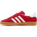 Gazelle Indoor 'Scarlet Gum'